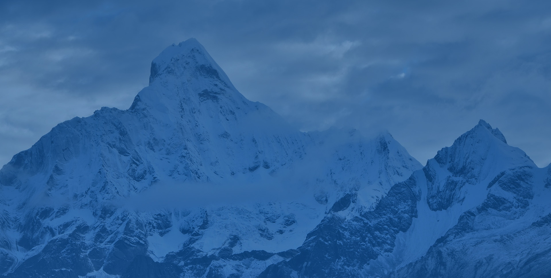 development of the company